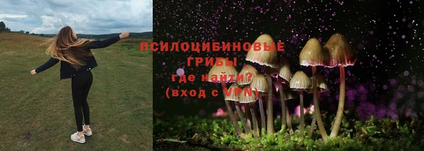 МДПВ Нязепетровск